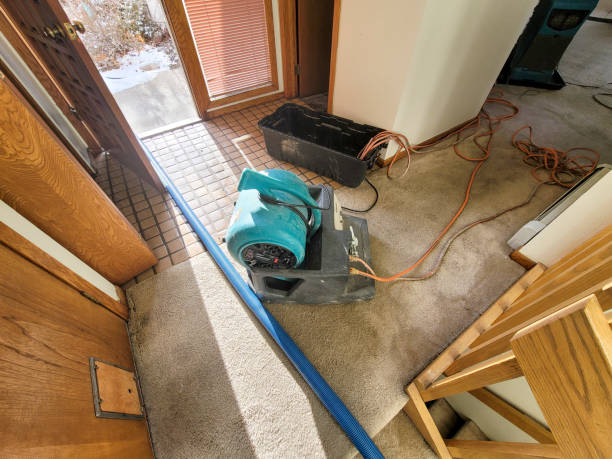 Best Professional water damage repair  in Quarryville, PA
