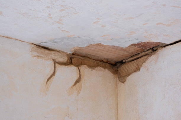 Best Sewage cleanup and water damage restoration  in Quarryville, PA