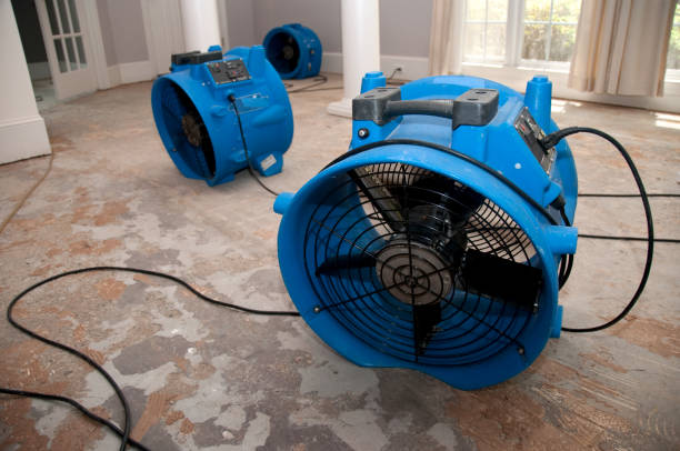 Best Water damage repair service  in Quarryville, PA