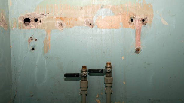 Best Basement water damage restoration  in Quarryville, PA