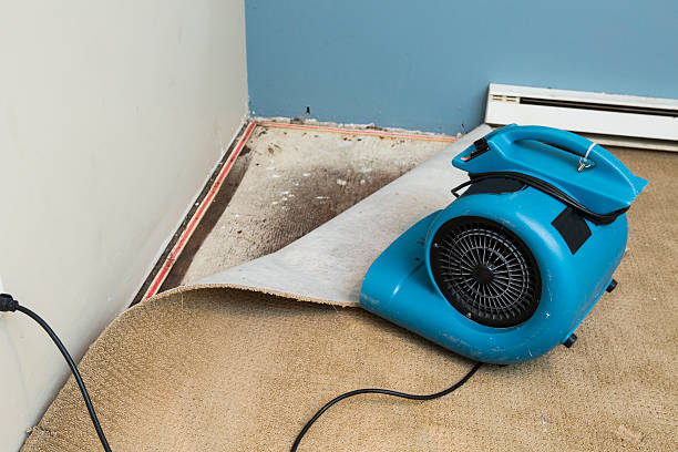 Best Flood restoration services  in Quarryville, PA